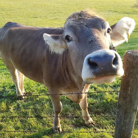Allgaeu Kempten im Allgäu